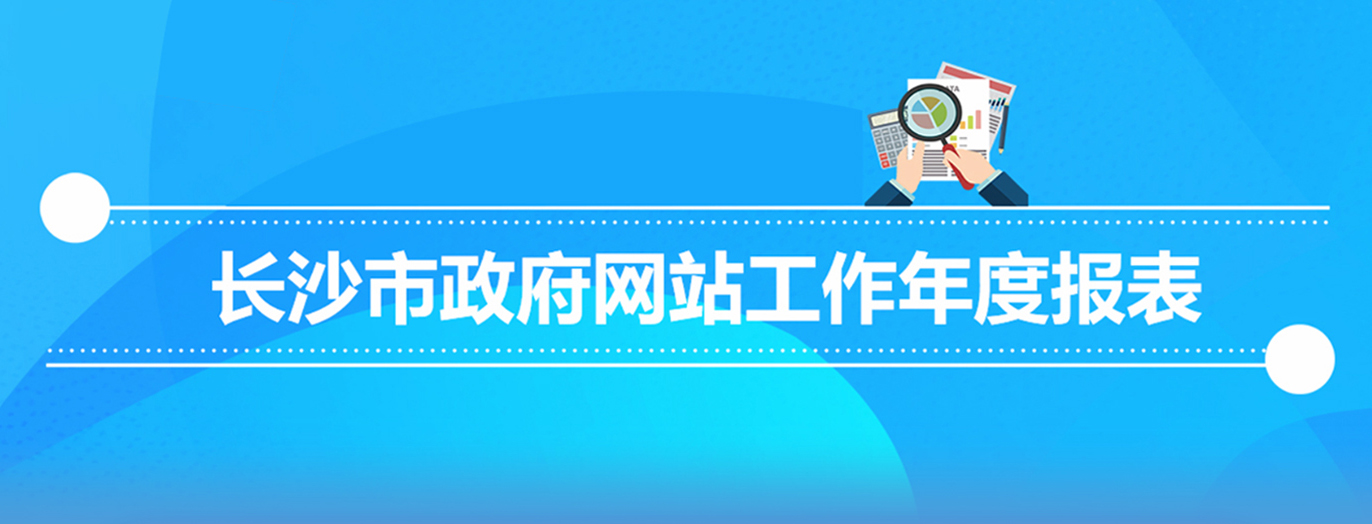 長沙市政府網站工作年度報表